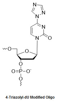 Bio-Synthesis Inc. Oligo Structure